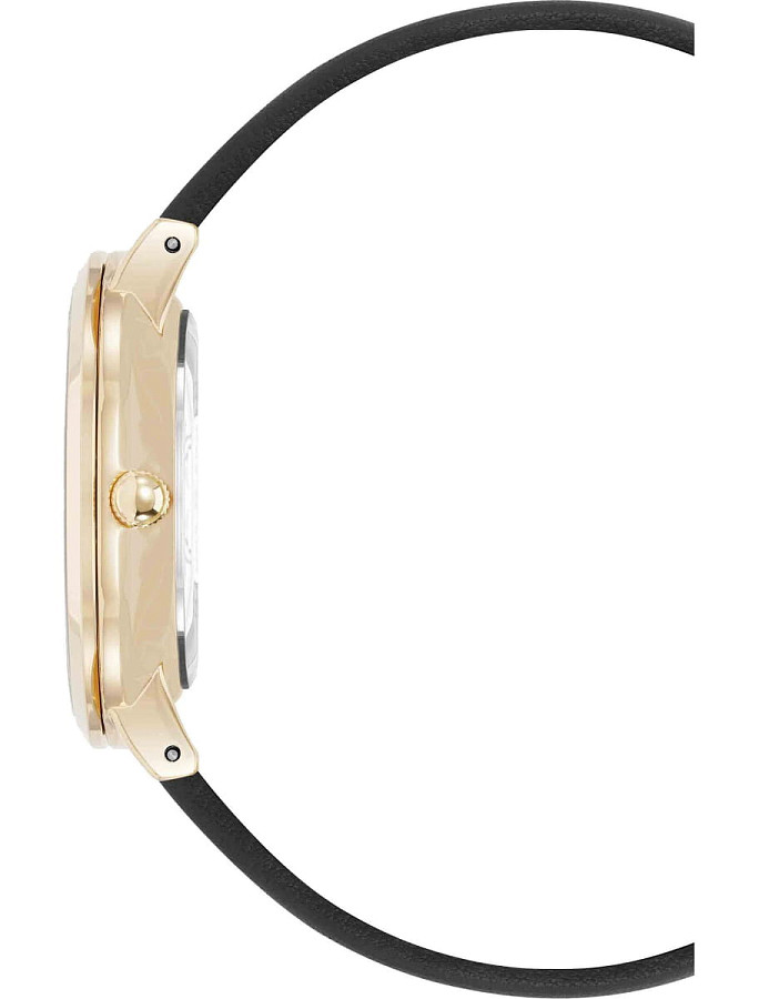 Часы Anne Klein Leather 5324GPBK — кварцевые, металл сталь