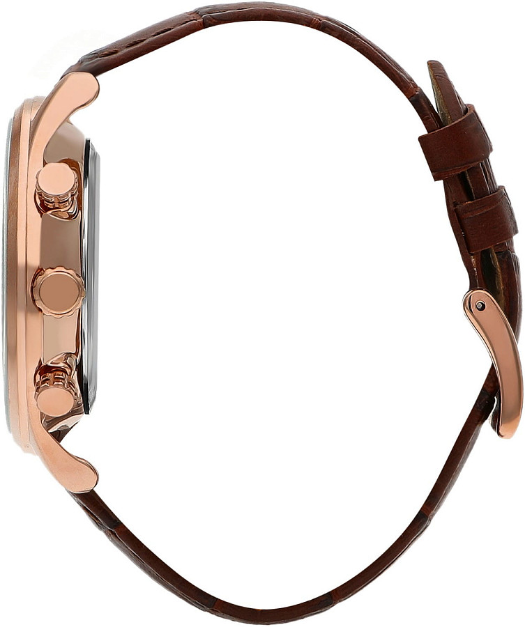 Часы Beverly Hills Polo Club BP3371X.492 — кварцевые, сталь металл