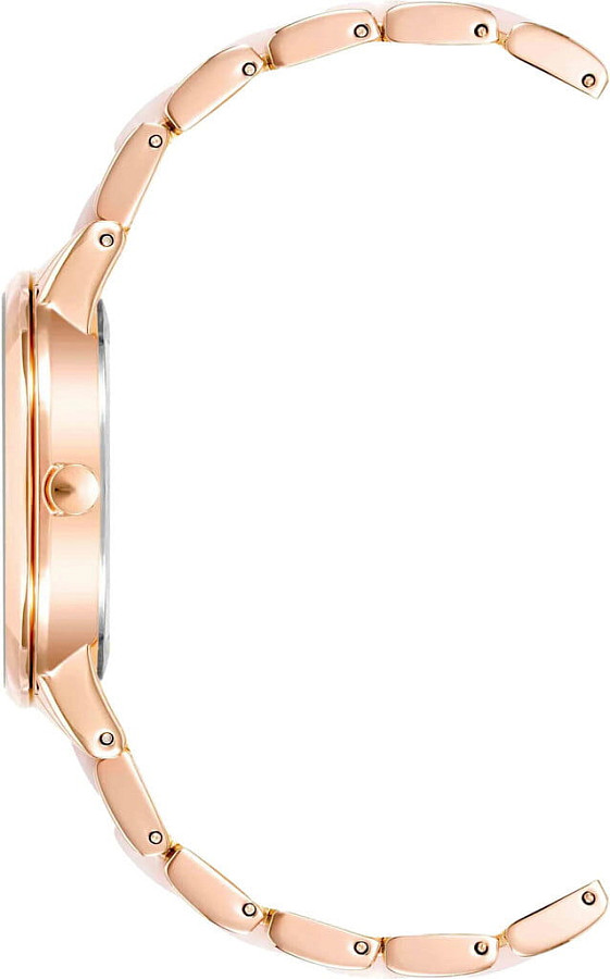 Часы Anne Klein Plastic 1412IRRG — кварцевые, металл сталь