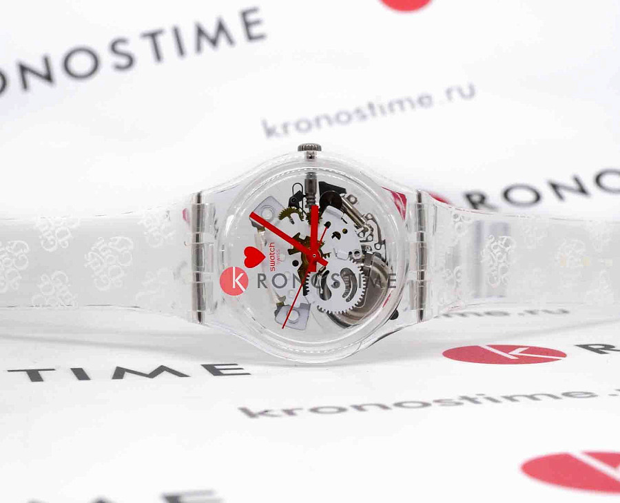 Часы Swatch Gent Biosourced Standart SO28Z129 — кварцевые, пластик