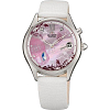Японские часы Orient DM00003V (FDM00003V)