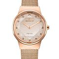 Корейские часы Essence Femme ES6798FE.410
