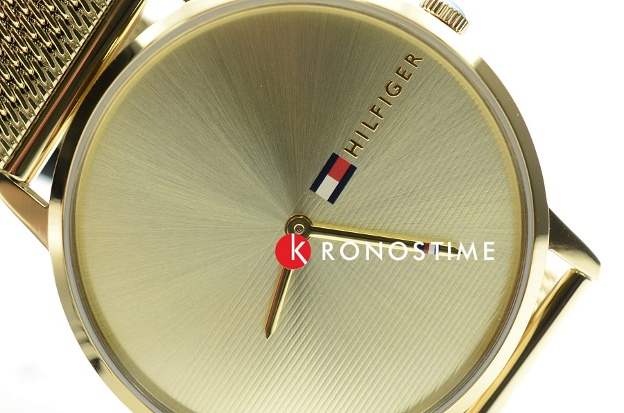 Часы Tommy Hilfiger Sport 1781972 — кварцевые, сталь