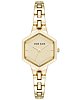 Американские наручные часы Anne Klein 5106CHGB