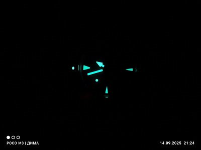 Фото покупателя: Швейцарские механические наручные часы Certina DS Action Lady C032.007.22.116.00
