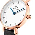 Шведские наручные часы Daniel Wellington Petite Roman Numerals Sheffield Rose Gold DW00100683, фото 3