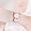 Шведские часы Daniel Wellington Petite Dover DW00100512, фото 5