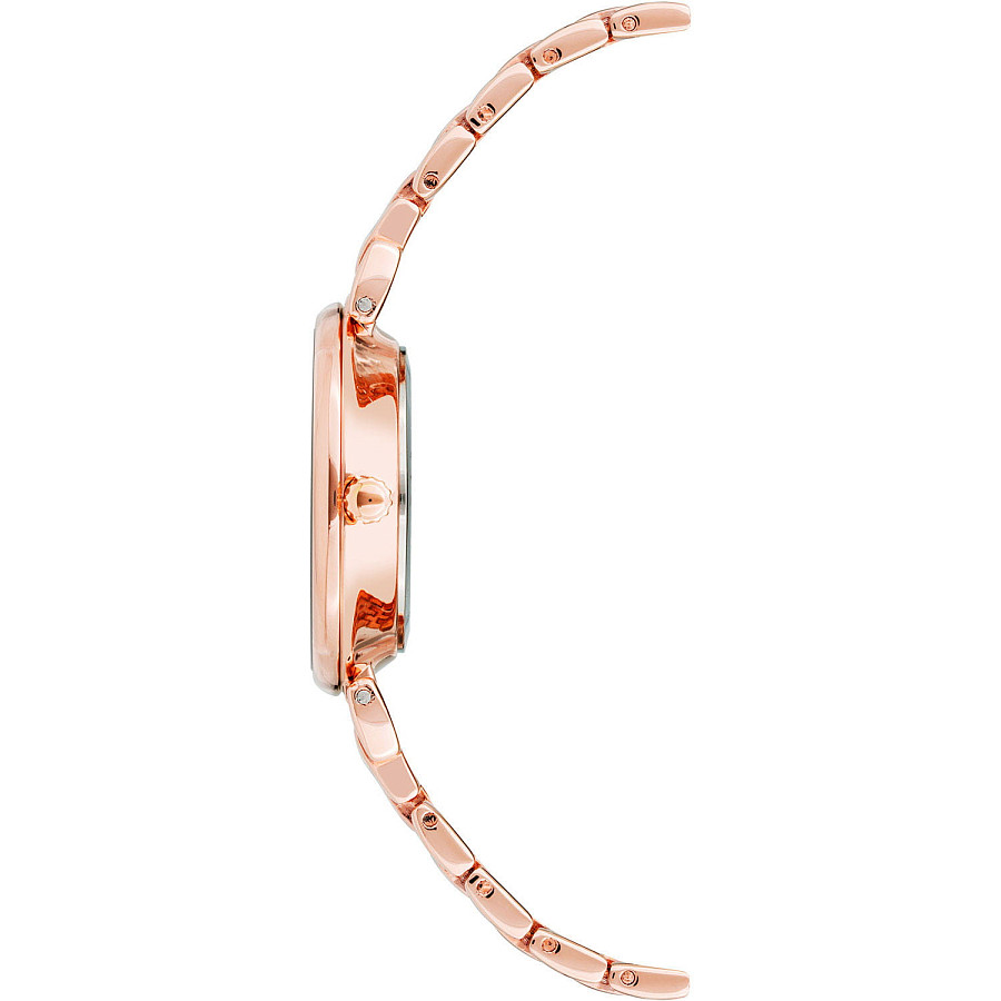 Часы Anne Klein Classic 3872RGRG — металл сталь, США