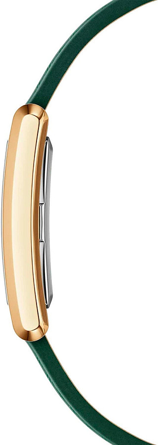Часы Daniel Wellington Bound Crocodile Champagne Sunray Gold DW00100695 — сталь металл, Швеция