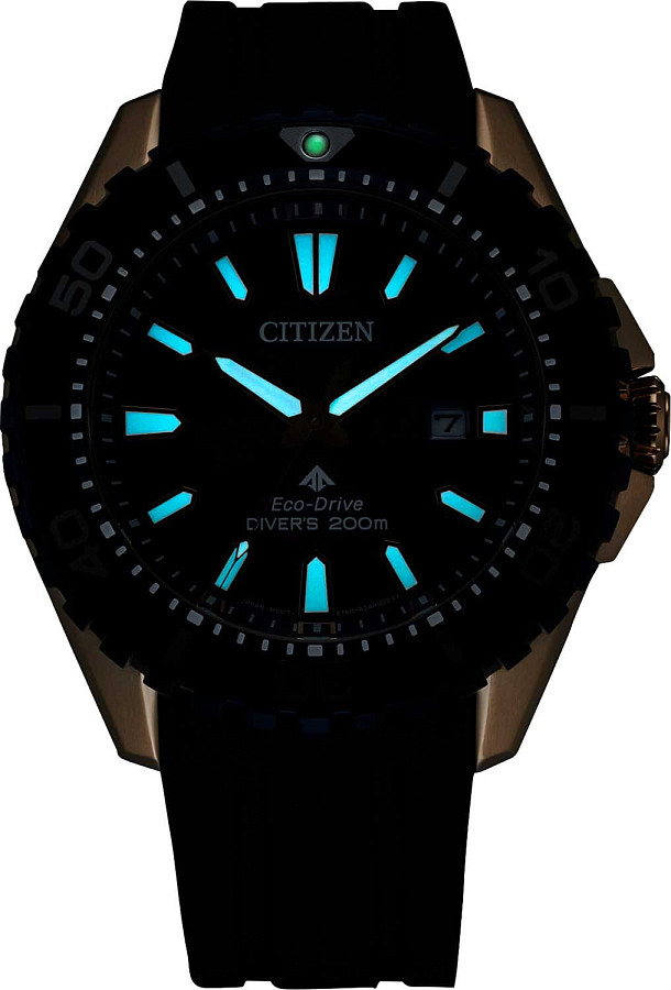 Часы Citizen Promaster BN0196-01L — кварцевые, металл сталь