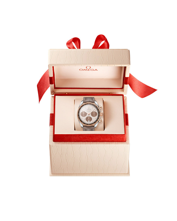 Часы Omega Speedmaster 38 324.23.38.50.02.002 — механические, сталь золото металл