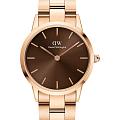 Шведские наручные часы Daniel Wellington Iconic Link Amber DW00100461