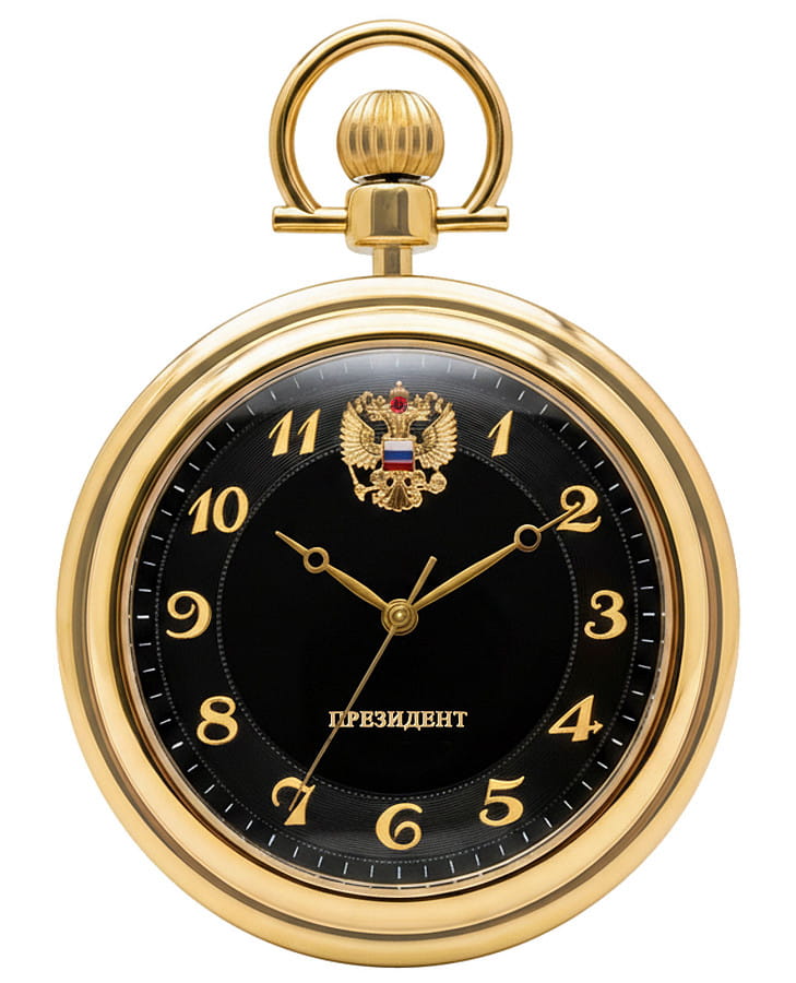 Часы Президент 2966036 — мужские, черный