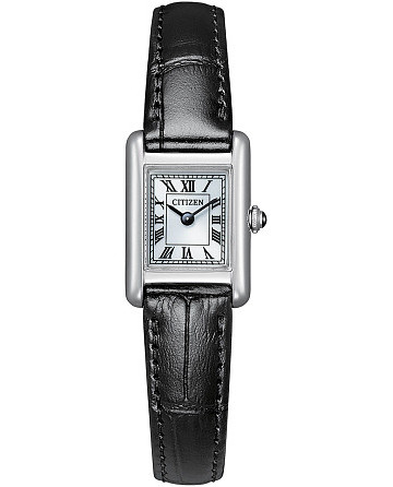 Citizen Eco-Drive EG2790-12A
