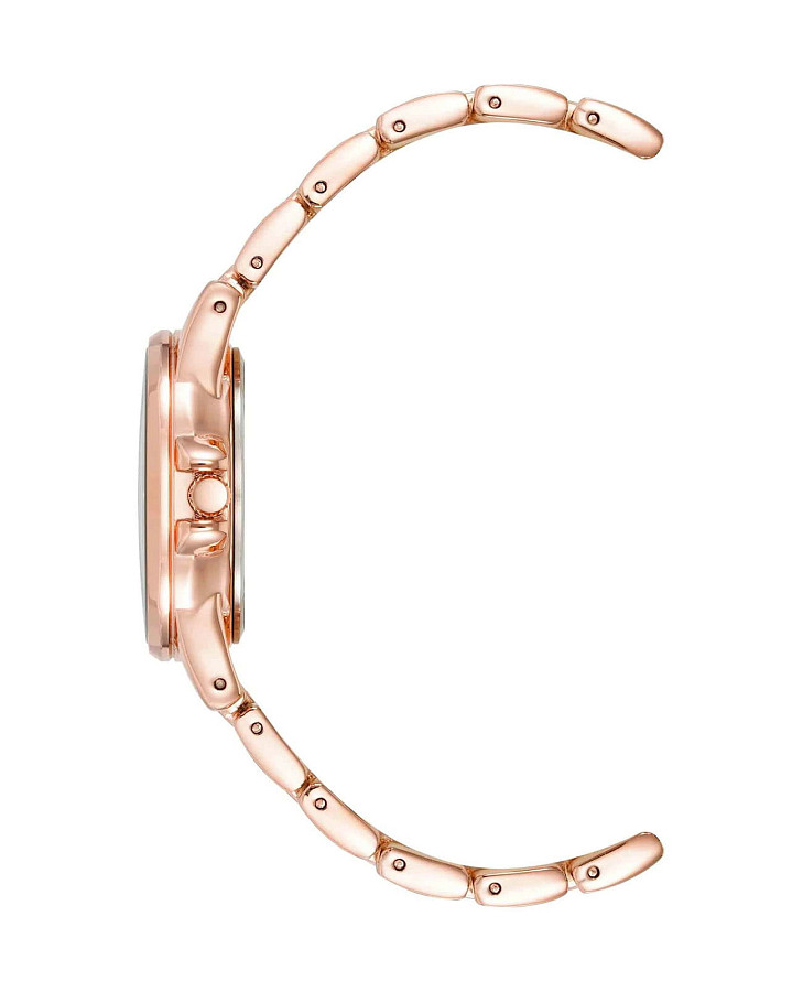 Часы Anne Klein Gemstones 4132AVRG — сталь металл, США