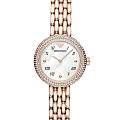 Итальянские наручные часы Emporio Armani Rosa AR11355