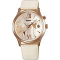 Японские механические часы Orient DM01002W (FDM01002W)