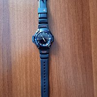 Фото покупателя: Японские часы Casio Collection SGW-450H-2BER