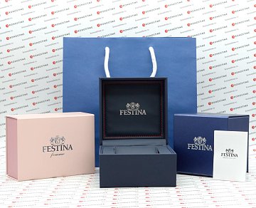 Комплектация: Испанские механические часы Festina Automatic F20069/1