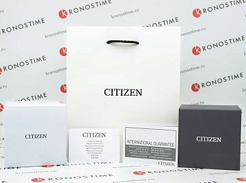 Комплектация: Японские часы Citizen Eco-Drive BM7620-83X